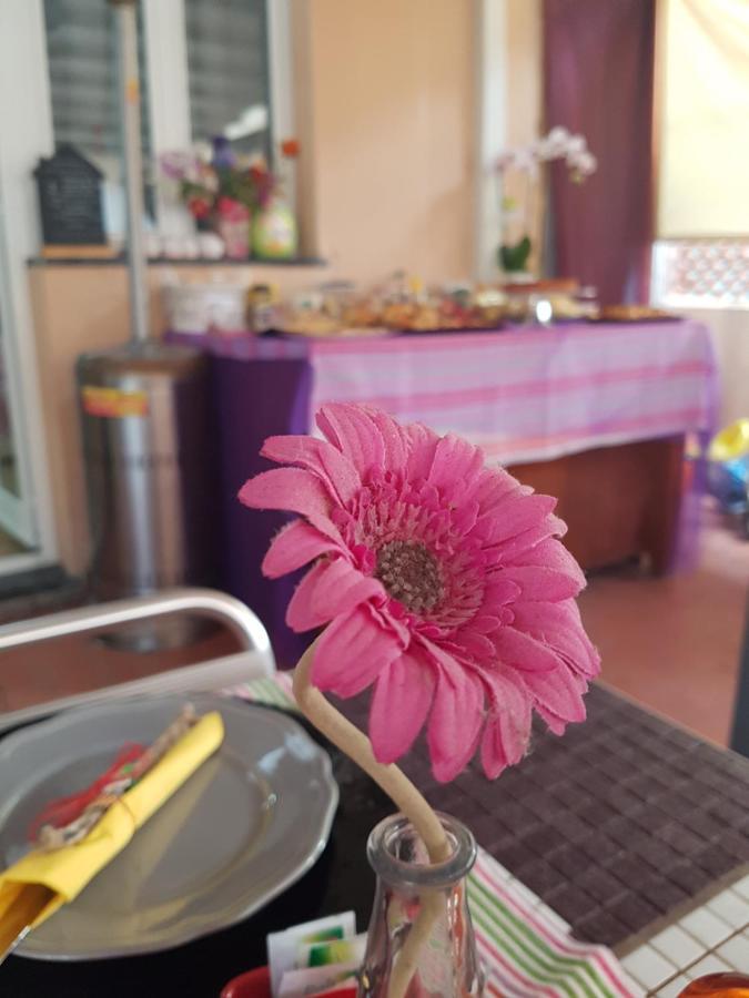 Ghiro Ghiotto Bed & Breakfast Pietra Ligure Exterior foto